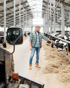 Малое предпринимательство