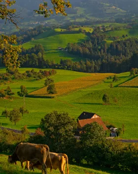 Национальные цели развития РФ: главные, стратегические ориентиры