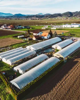 Тренды и прогнозы до 2030 года