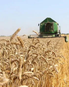 Развитие местного производства и кооперации в станице